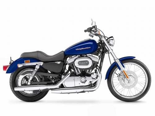 Sportster XL1200C 2007